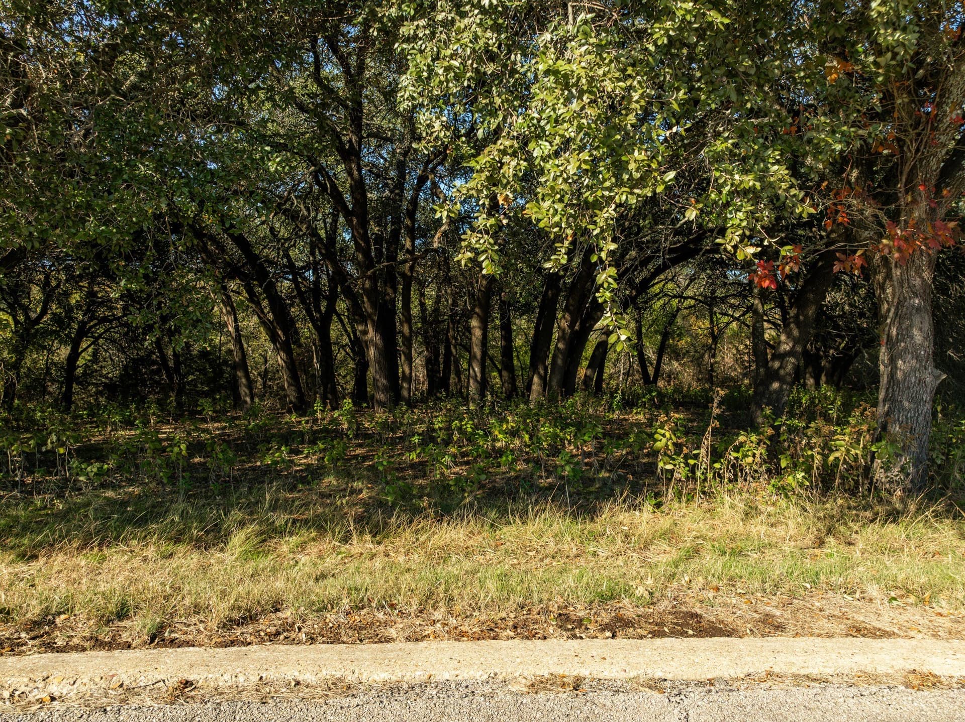 0.3 acres in Hill County - photo 4