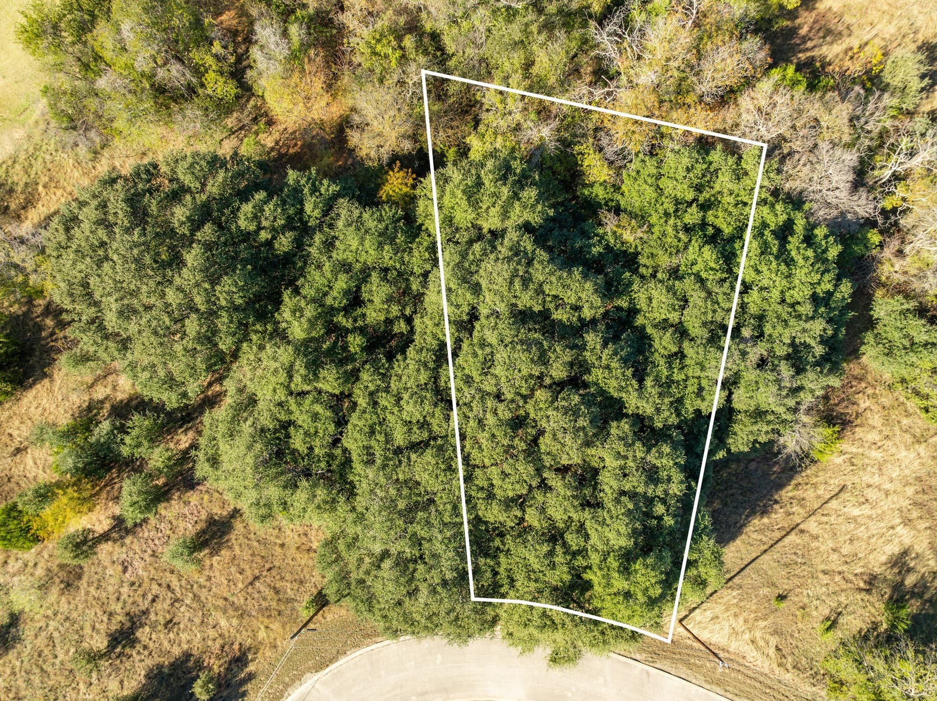 0.3 acres in Hill County - photo 9