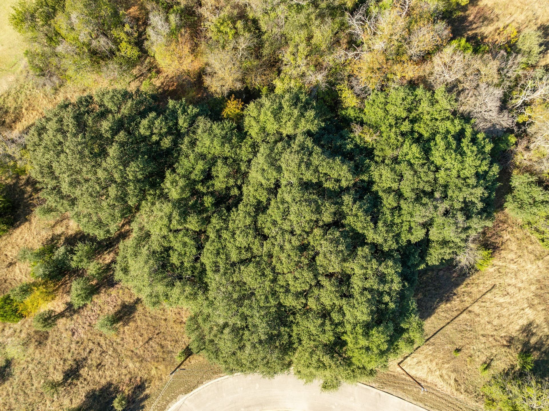 0.3 acres in Hill County - photo 5