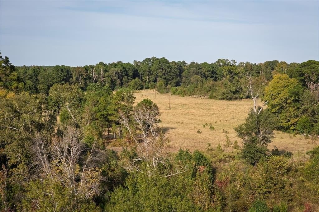 190.73 acres in Rusk County gallery image 3