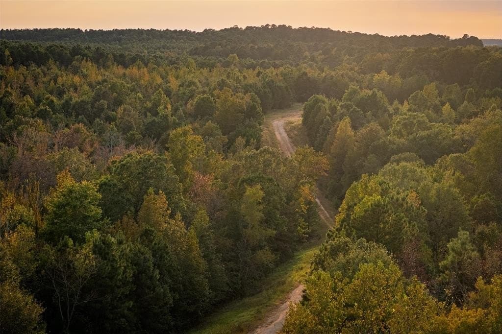 190.73 acres in Rusk County featured view