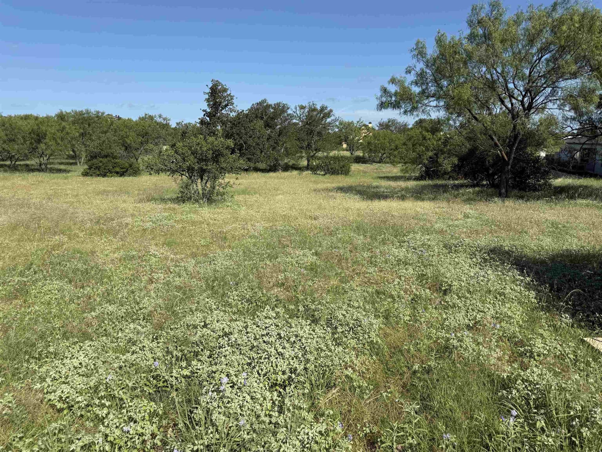 0.19 acres in Llano County gallery image 4