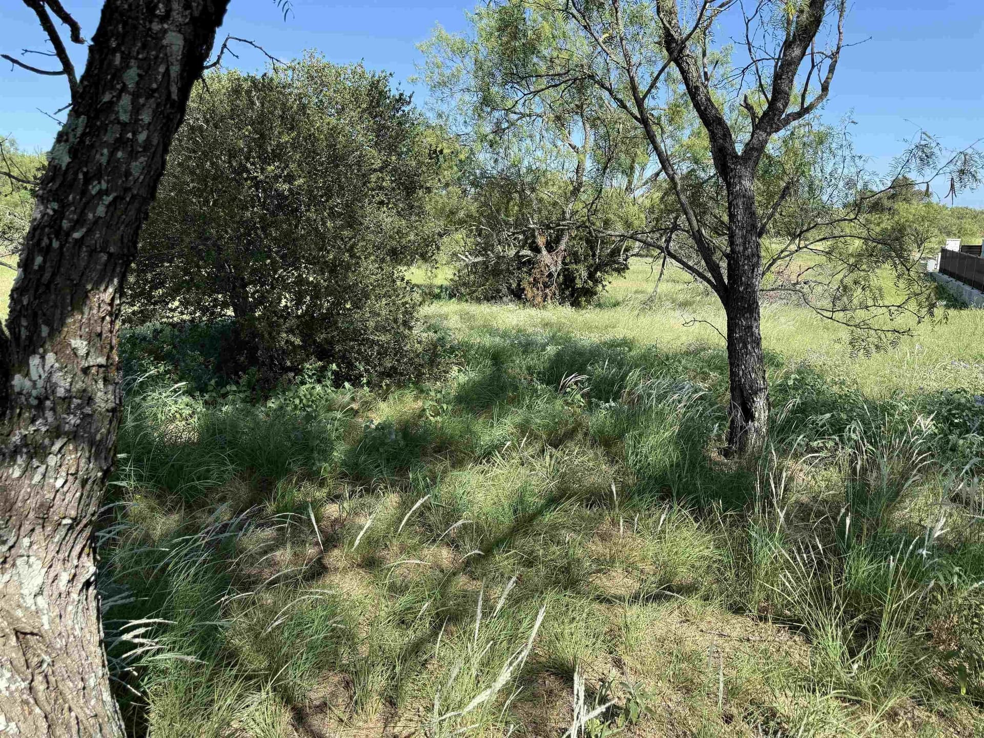 0.19 acres in Llano County - photo 20