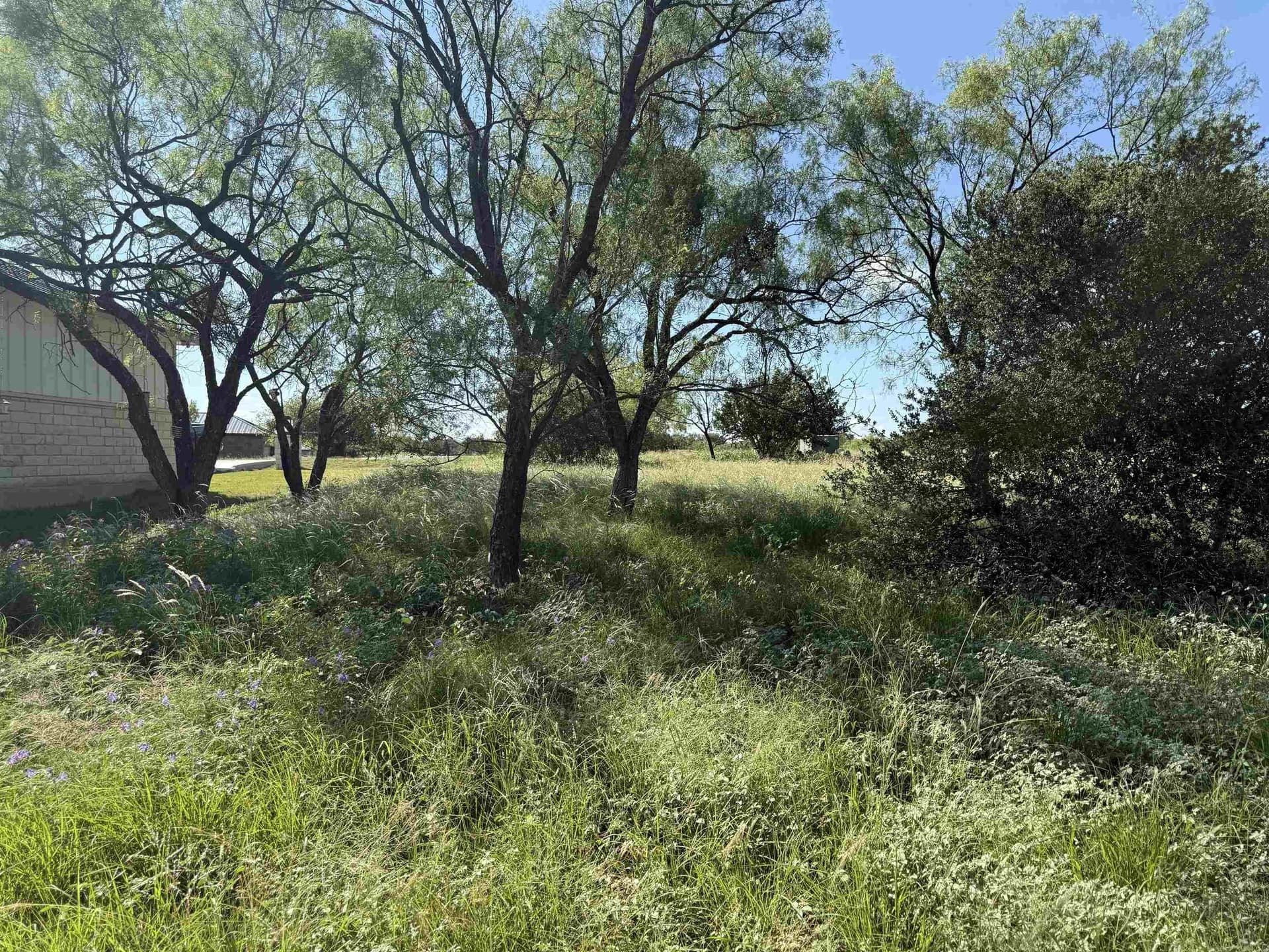 0.19 acres in Llano County - photo 13