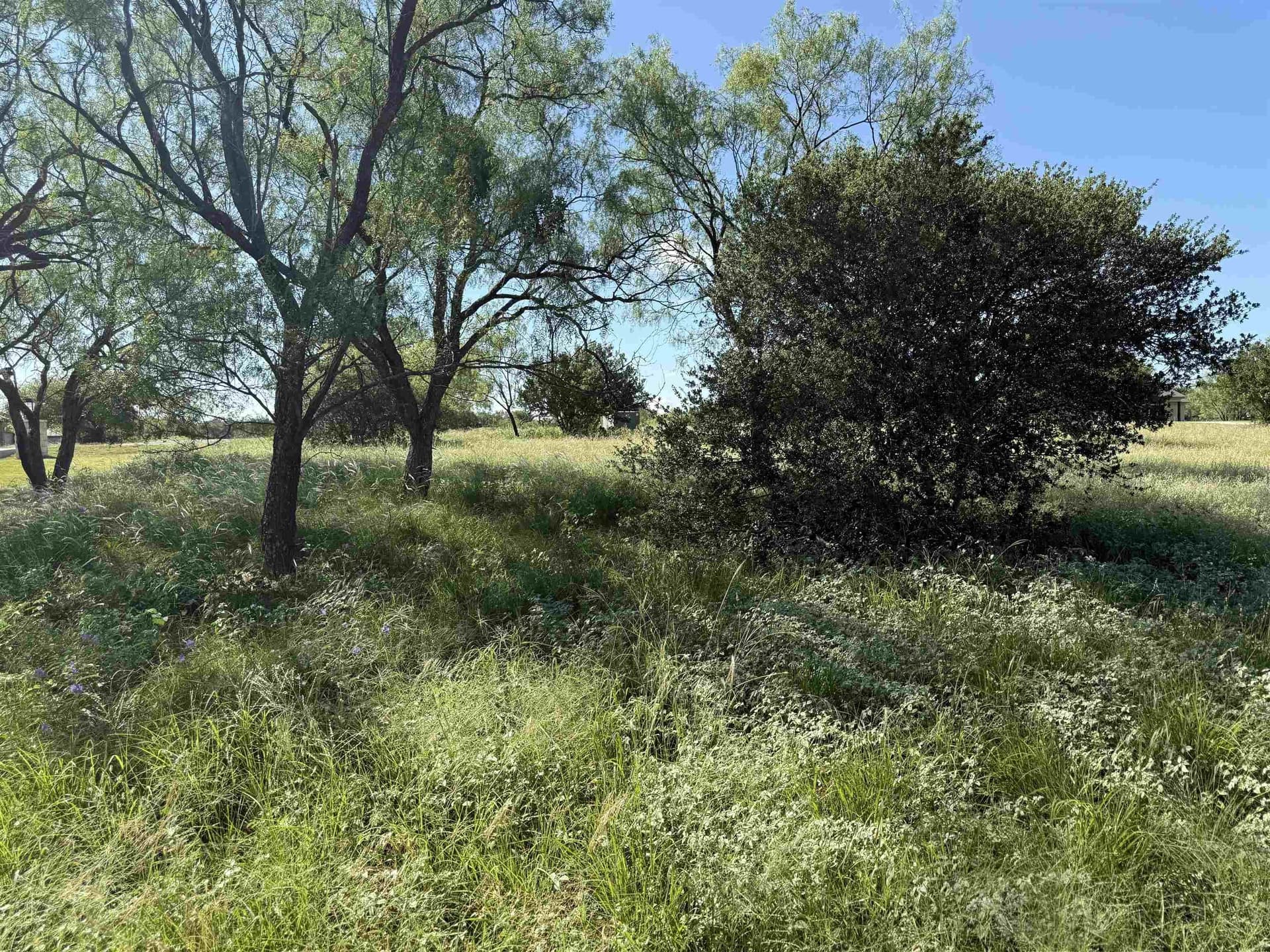 0.19 acres in Llano County - photo 14