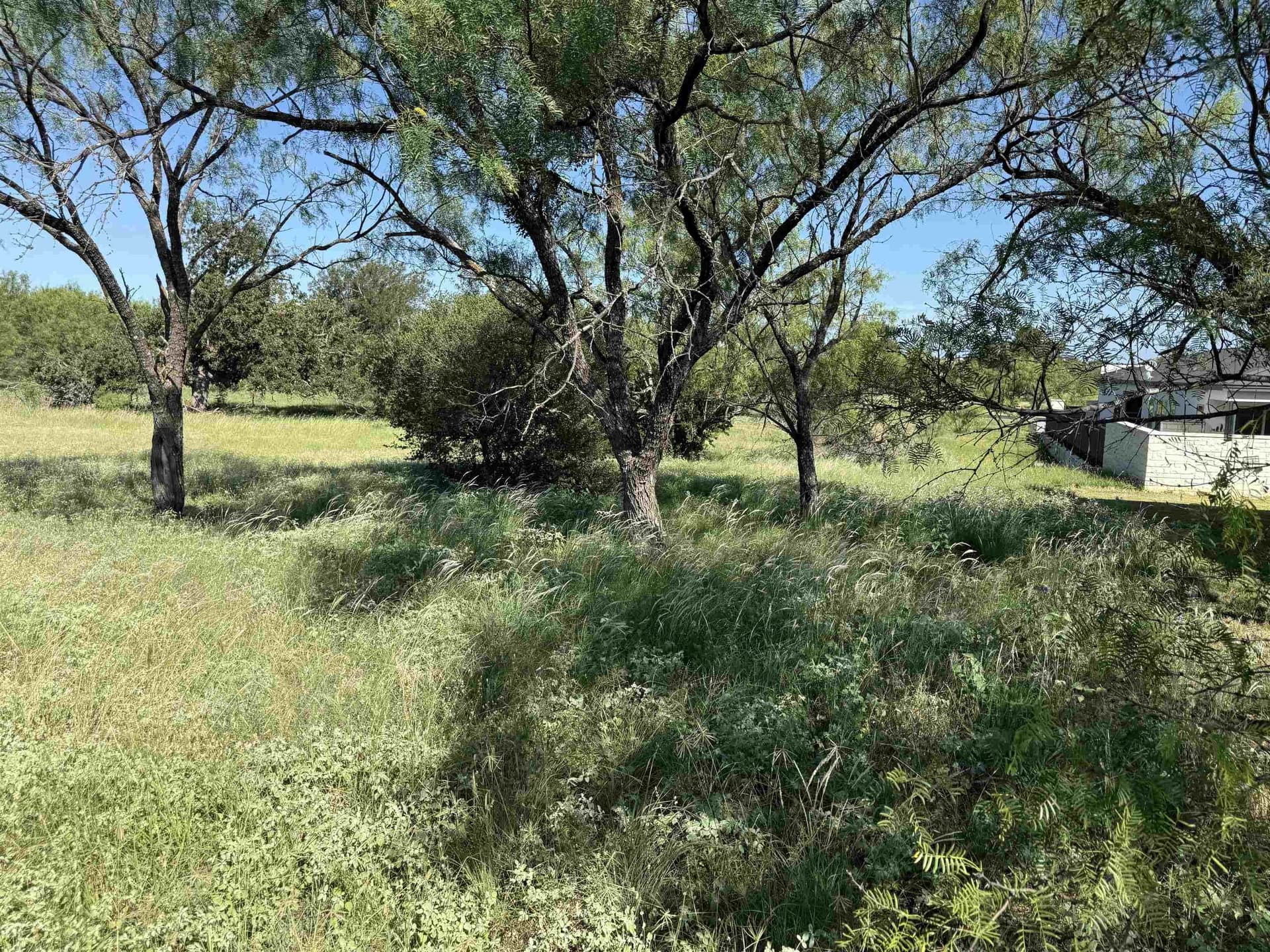 0.19 acres in Llano County - photo 22