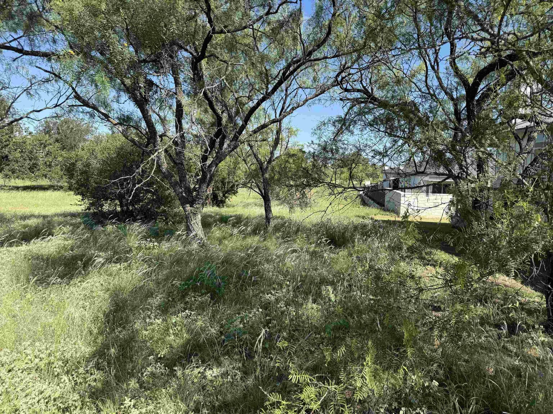 0.19 acres in Llano County - photo 21