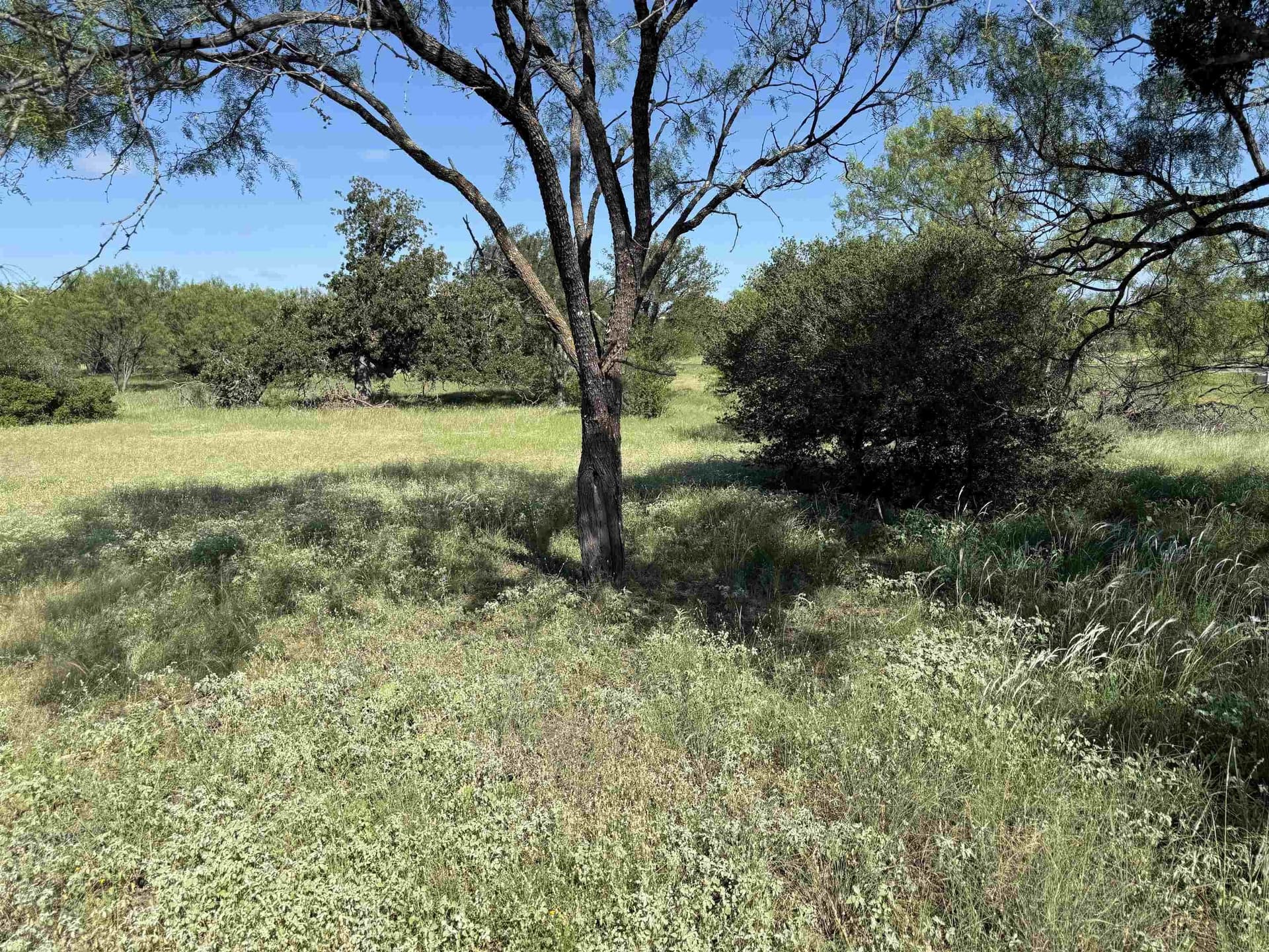 0.19 acres in Llano County - photo 7