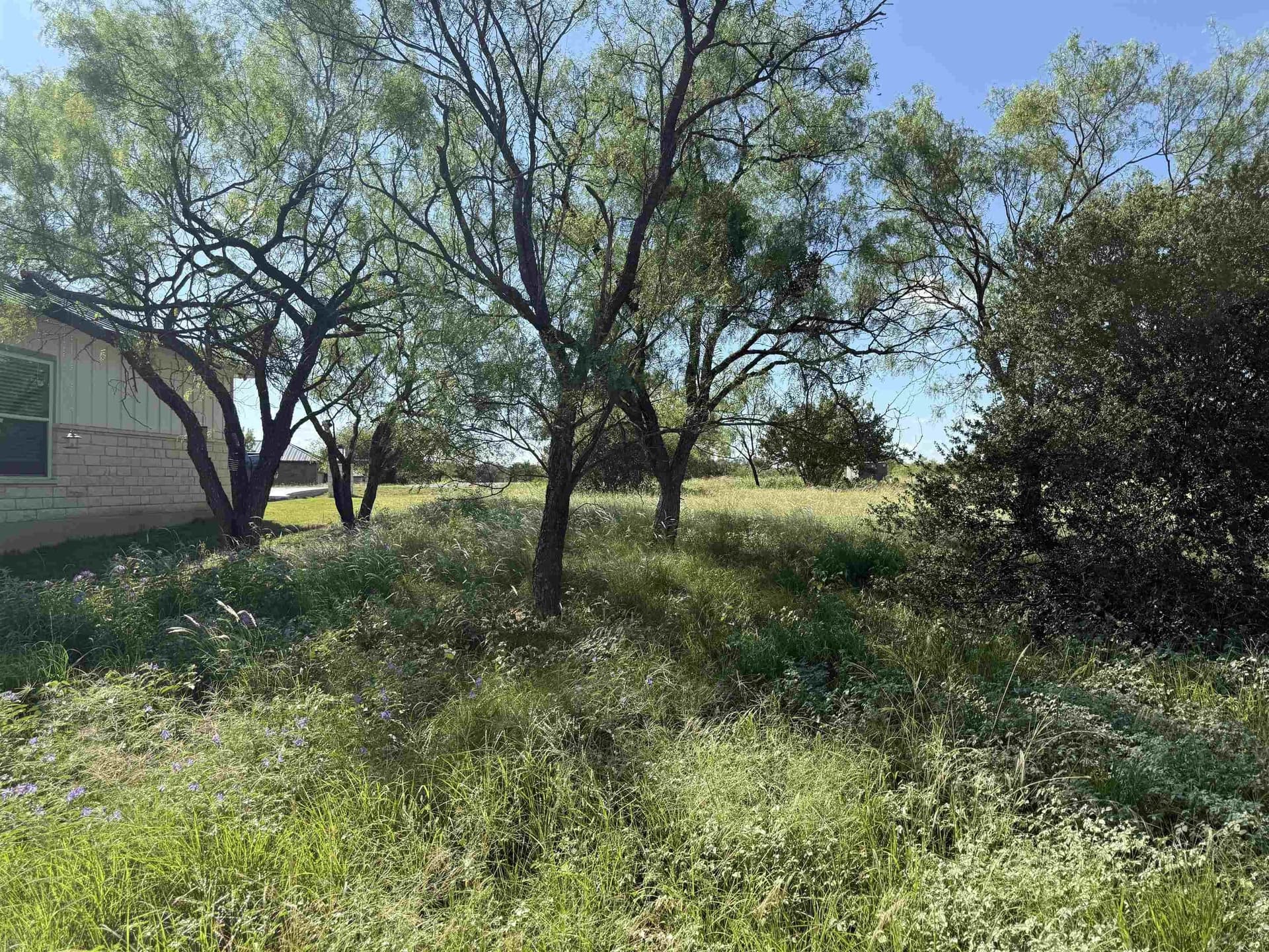 0.19 acres in Llano County - photo 15