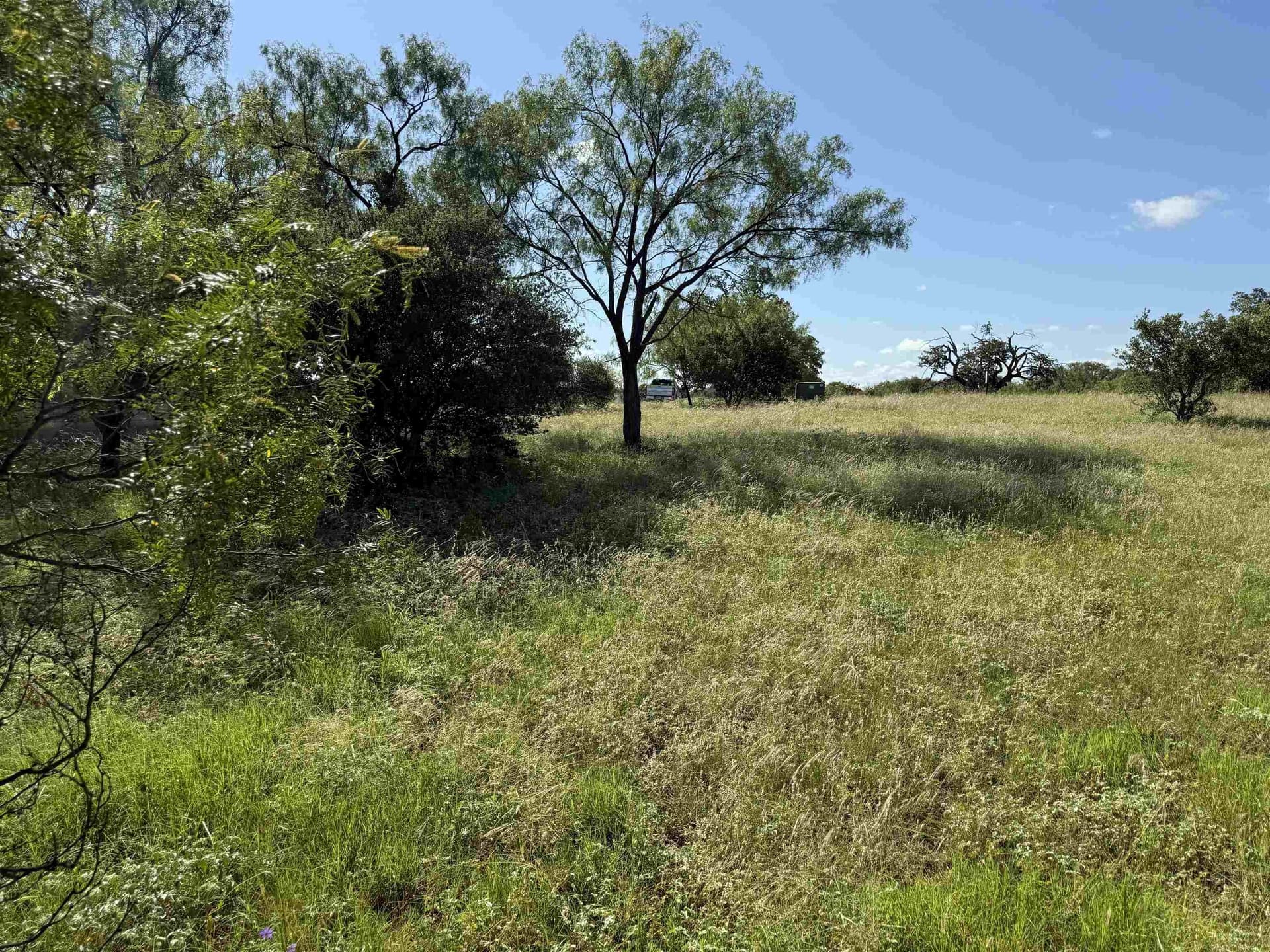 0.19 acres in Llano County - photo 12