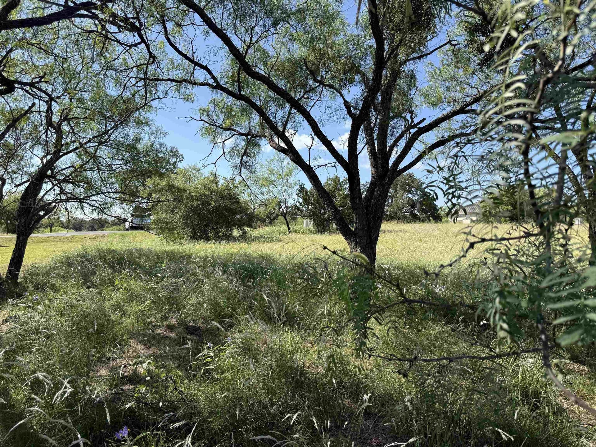 0.19 acres in Llano County - photo 17
