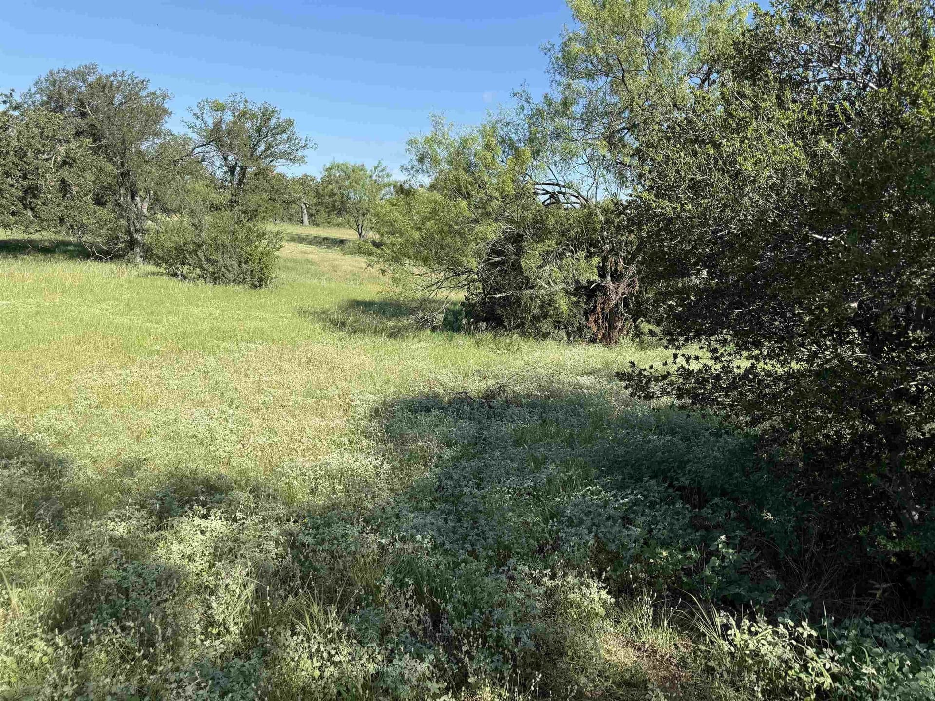 0.19 acres in Llano County - photo 8