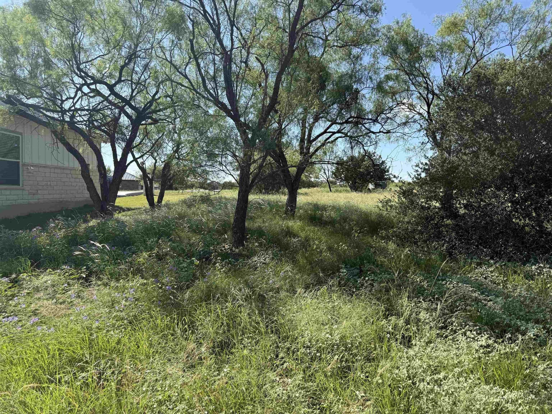 0.19 acres in Llano County - photo 16
