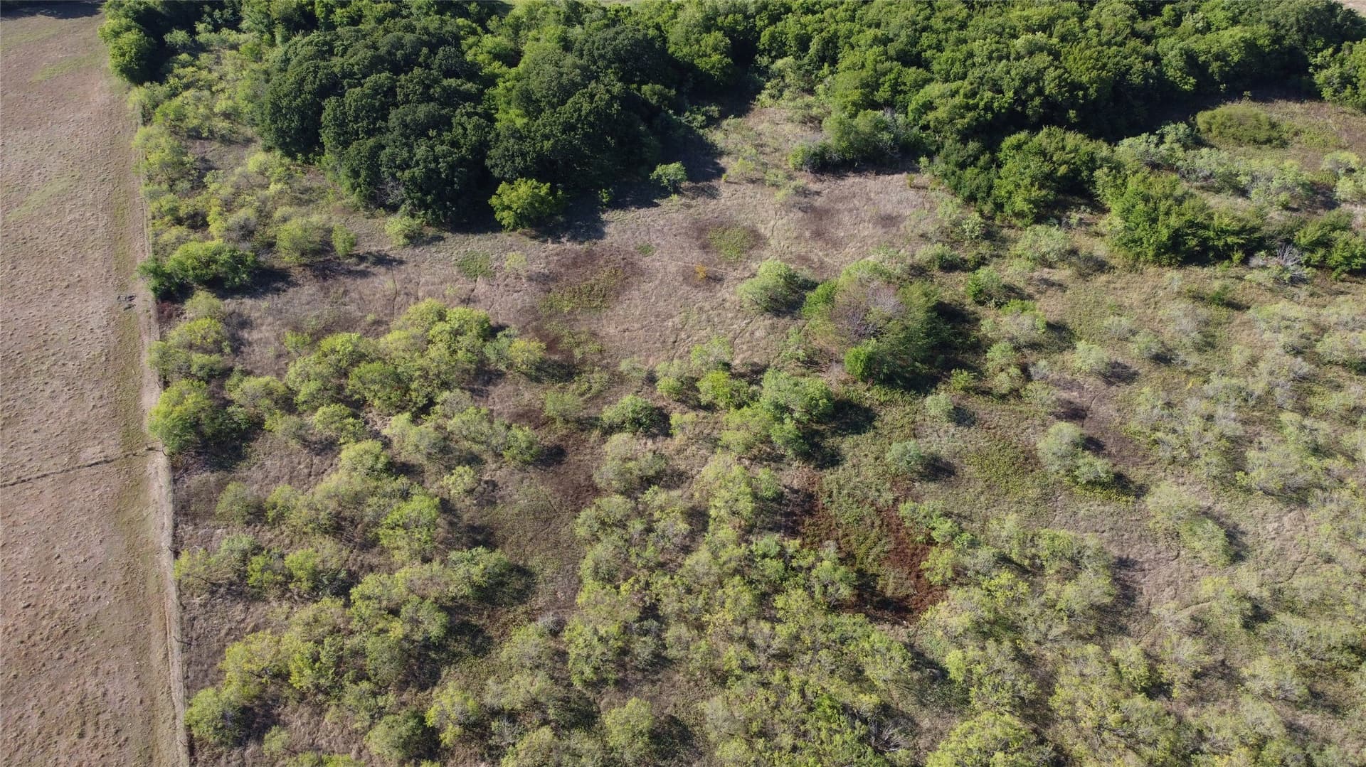 73.16 acres in Hill County gallery image 4