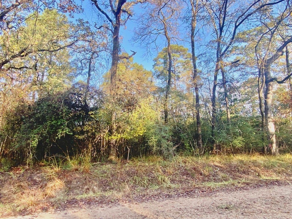 0.38 acres in Texas County - photo 8