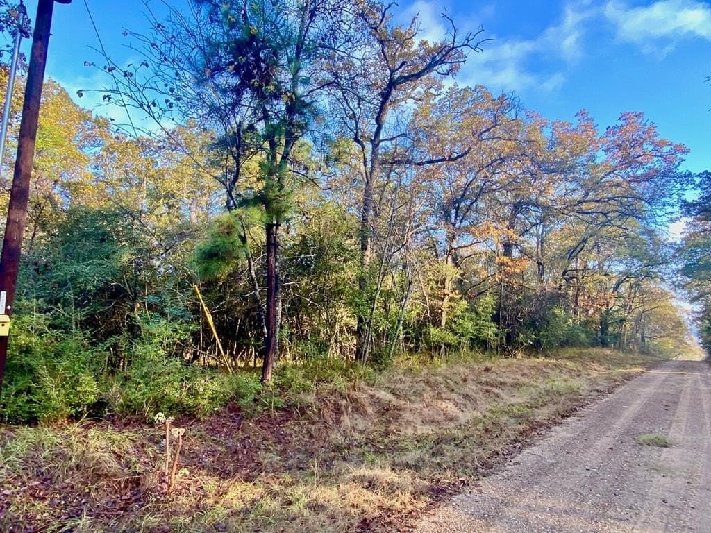 0.38 acres in Texas County gallery image 2