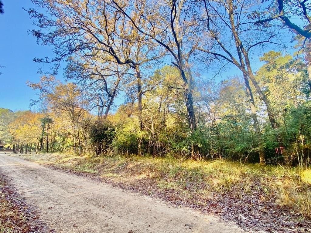 0.38 acres in Texas County