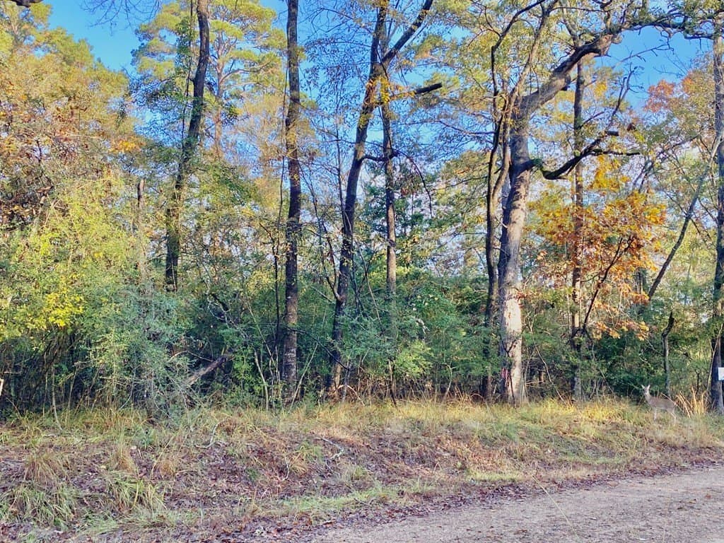 0.38 acres in Texas County - photo 7