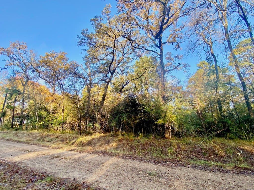 0.38 acres in Texas County - photo 9