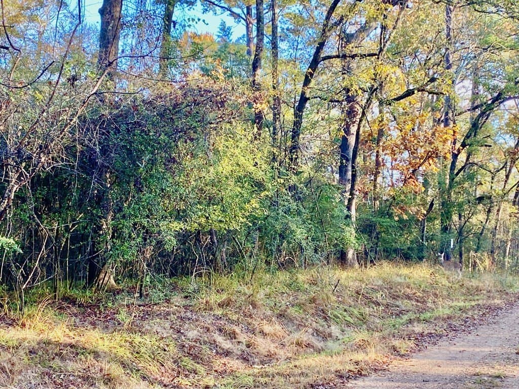 0.38 acres in Texas County featured view
