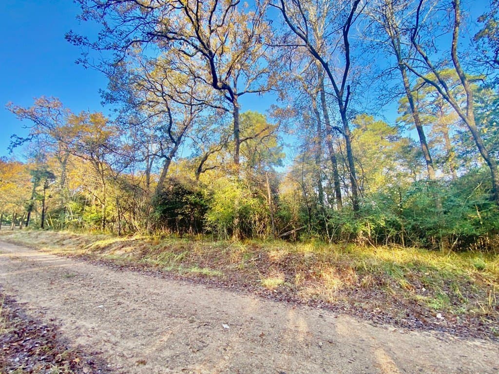 0.38 acres in Texas County - photo 10