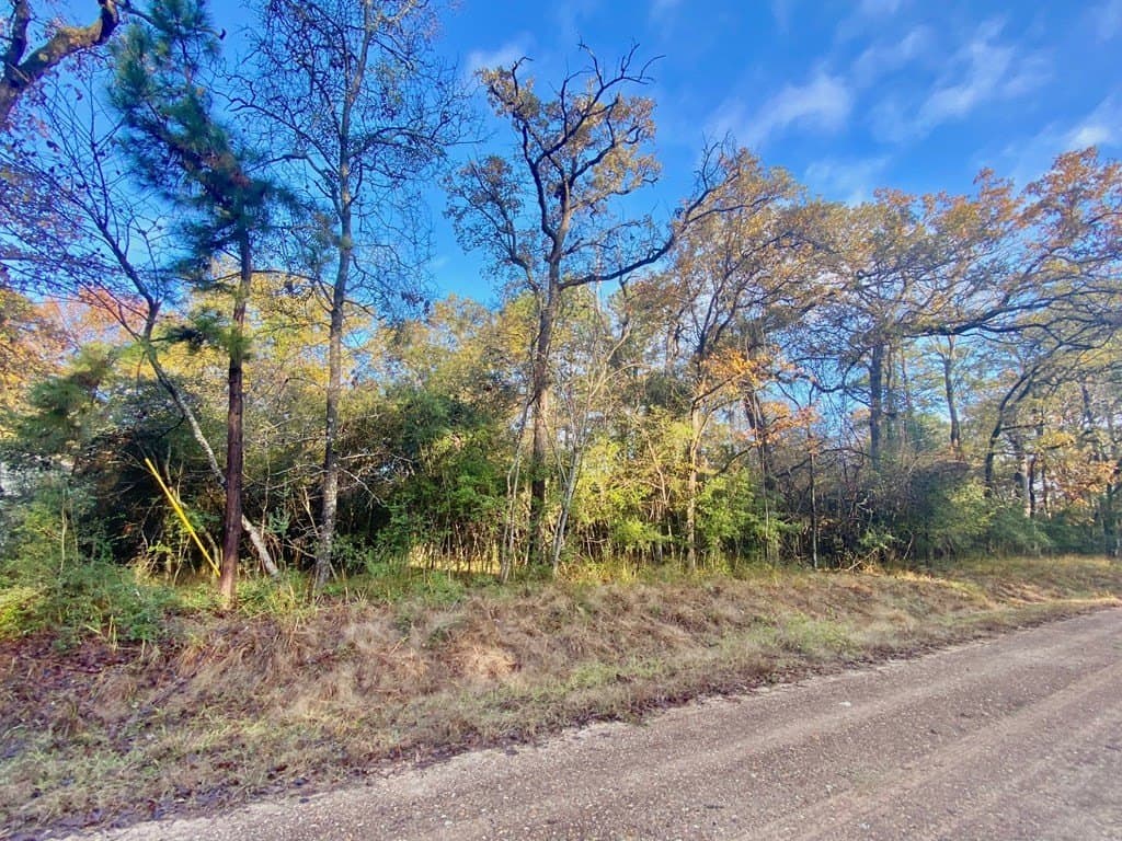 0.38 acres in Texas County gallery image 3