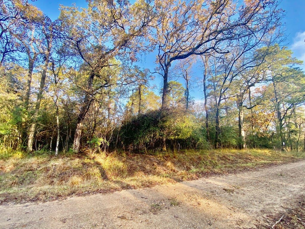 0.38 acres in Texas County - photo 6