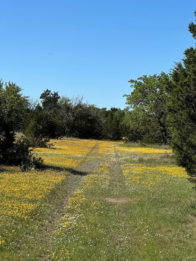 155 acres in Kerr County - photo 40