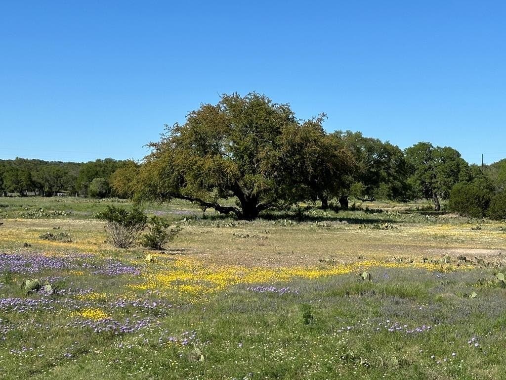 155 acres in Kerr County - photo 35