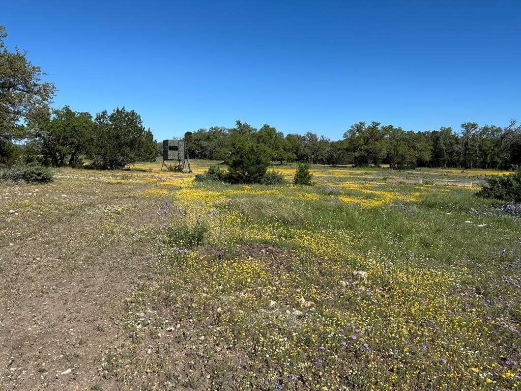 155 acres in Kerr County - photo 37