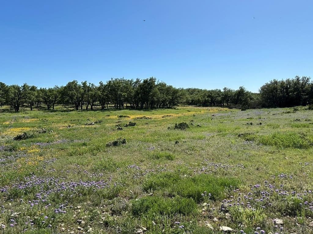 155 acres in Kerr County - photo 36