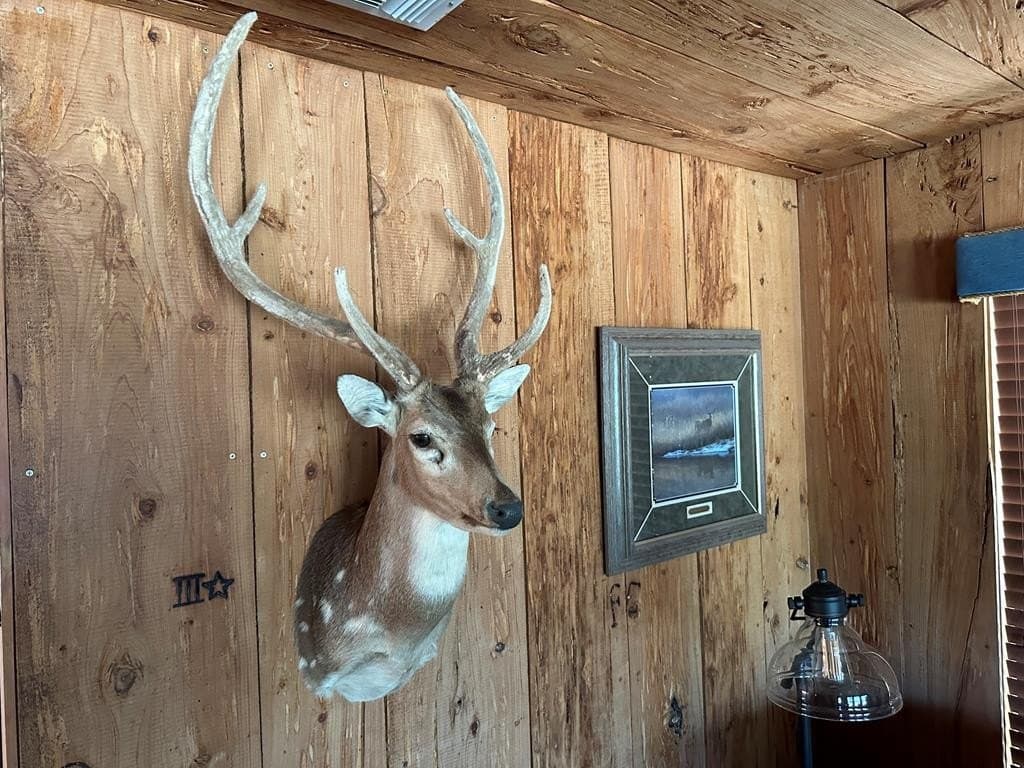 155 acres in Kerr County - photo 16