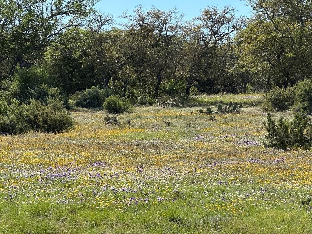 155 acres in Kerr County - photo 38