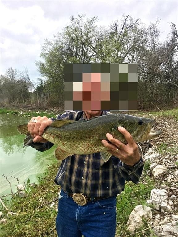 77.21 acres in Bosque County featured view