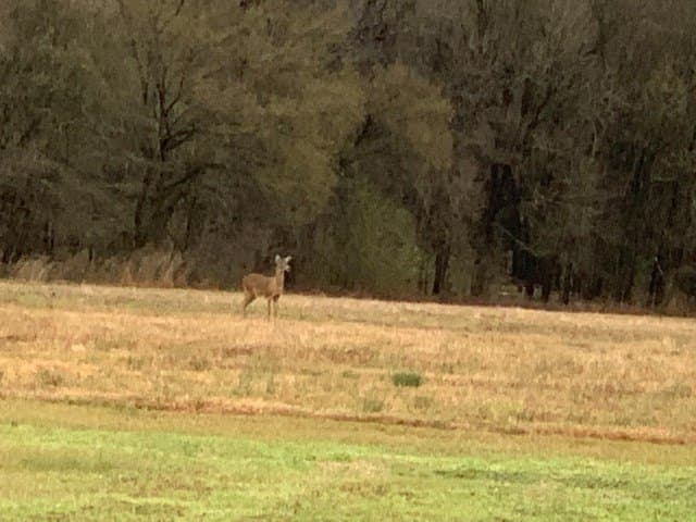 69 acres in Van Zandt County - photo 48