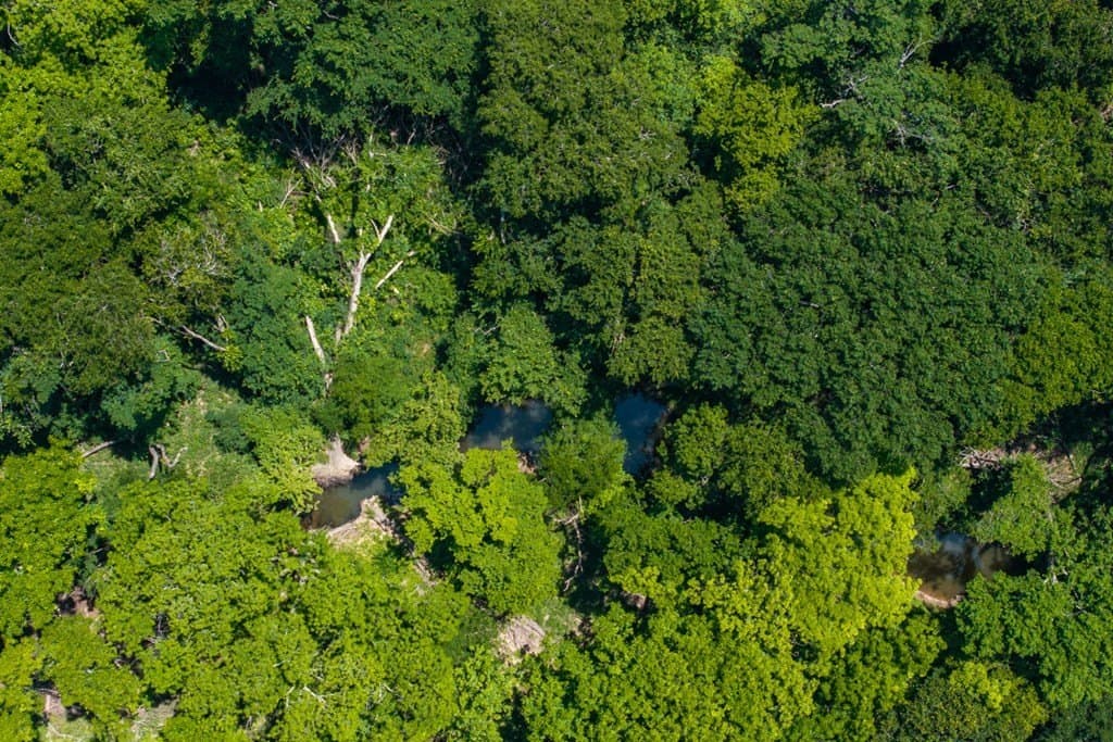 69 acres in Van Zandt County - photo 46