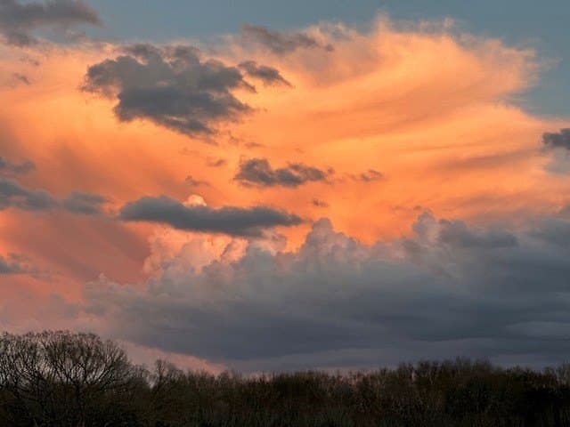 69 acres in Van Zandt County - photo 50