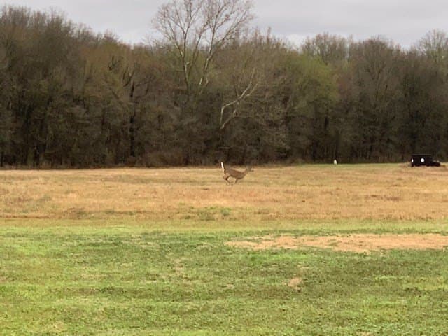 69 acres in Van Zandt County - photo 47