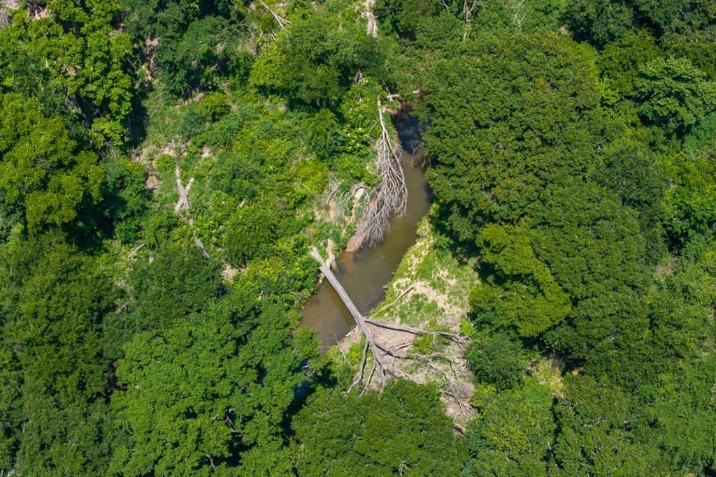 69 acres in Van Zandt County - photo 45