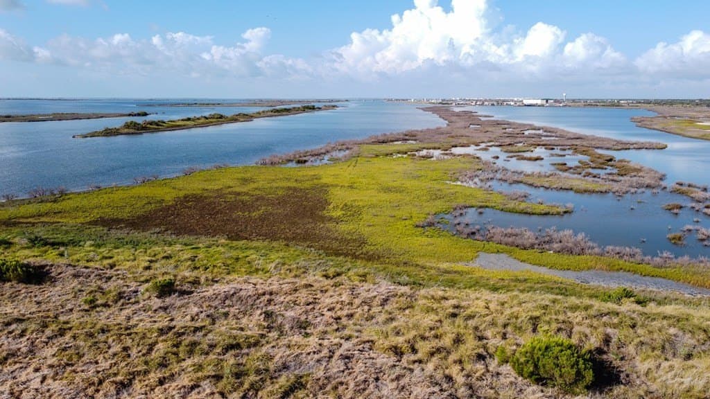 47 acres in Texas County - photo 5