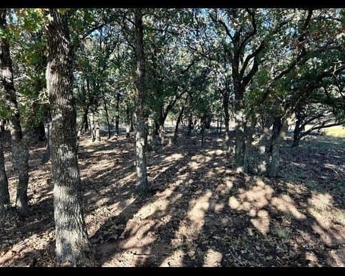 40 acres in Eastland County - photo 14