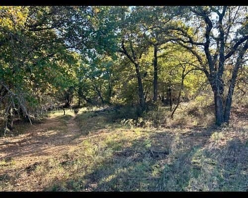 40 acres in Eastland County - photo 5