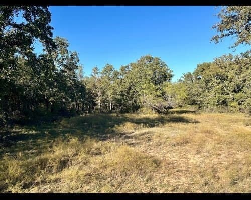 40 acres in Eastland County - photo 9