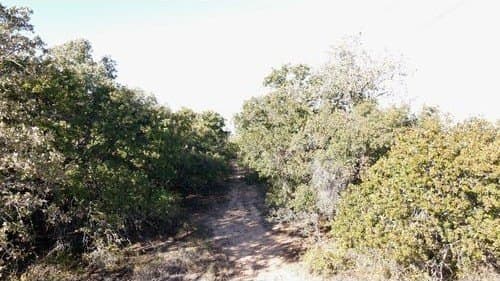 40 acres in Eastland County - photo 18