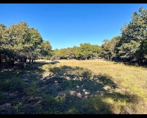 40 acres in Eastland County - photo 15