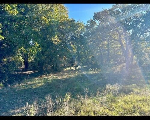 40 acres in Eastland County - photo 4