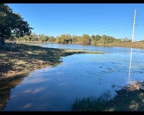 40 acres in Eastland County - photo 2