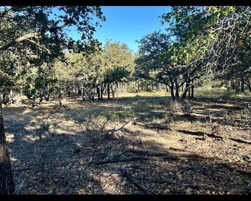 40 acres in Eastland County - photo 12
