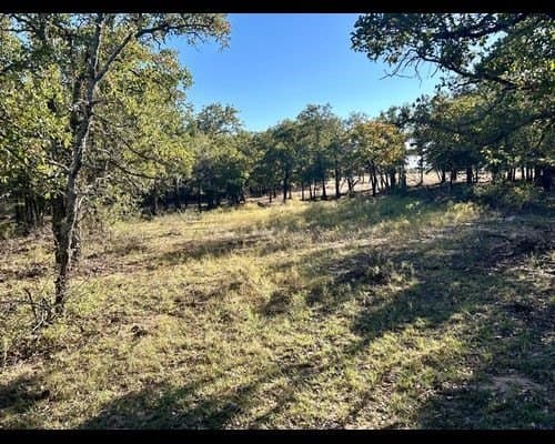 40 acres in Eastland County - photo 10