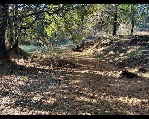 40 acres in Eastland County - photo 6